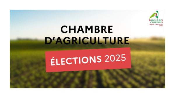 Lire la suite à propos de l’article Elections Chambre d’agriculture 2025 – Liste des électeurs