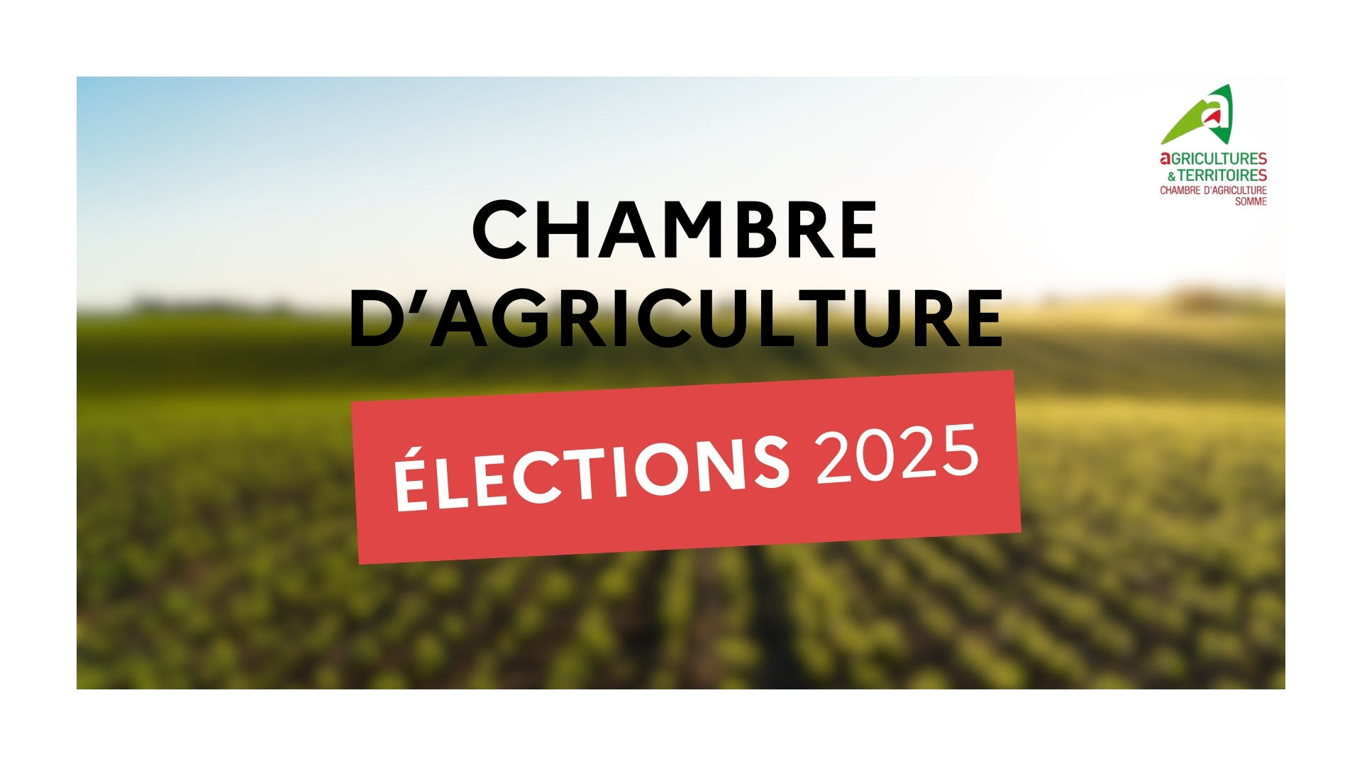 Lire la suite à propos de l’article Elections Chambre d’agriculture 2025 – Liste des électeurs